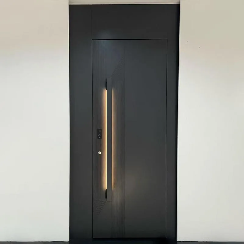 Aluminum Honeycomb Panel Entrance Door with LED Lighting